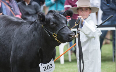 2022 Sydney Royal Easter Show – National Young Judges & Paraders Championship Timetable