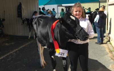 Meet Young Dairy Cattle Judge Tanille Hughes (WA)