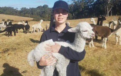 Meet Young Alpaca Judge Mia Hancock (WA)