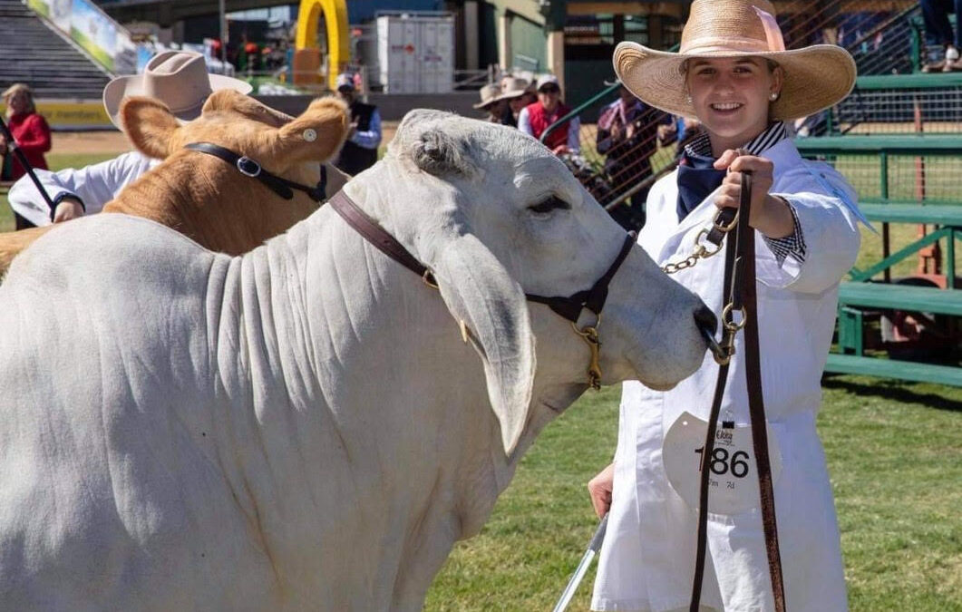 Meet Young Beef Cattle Parader Maya Threlfall (QLD)
