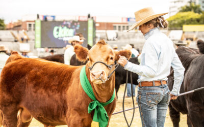 Country and city reunite once again to show their love for Ekka