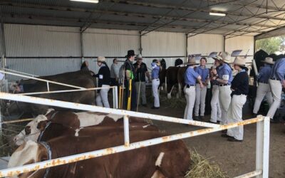 145th Annual Beverley Show 2022
