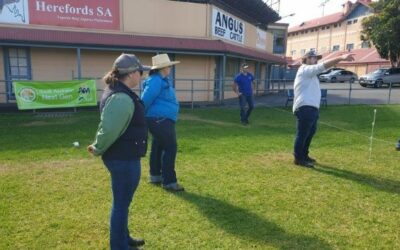 SA Sheep Expo