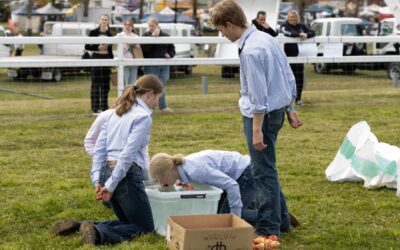 Five Easy Activities To Include In Your Young Farmer Challenge