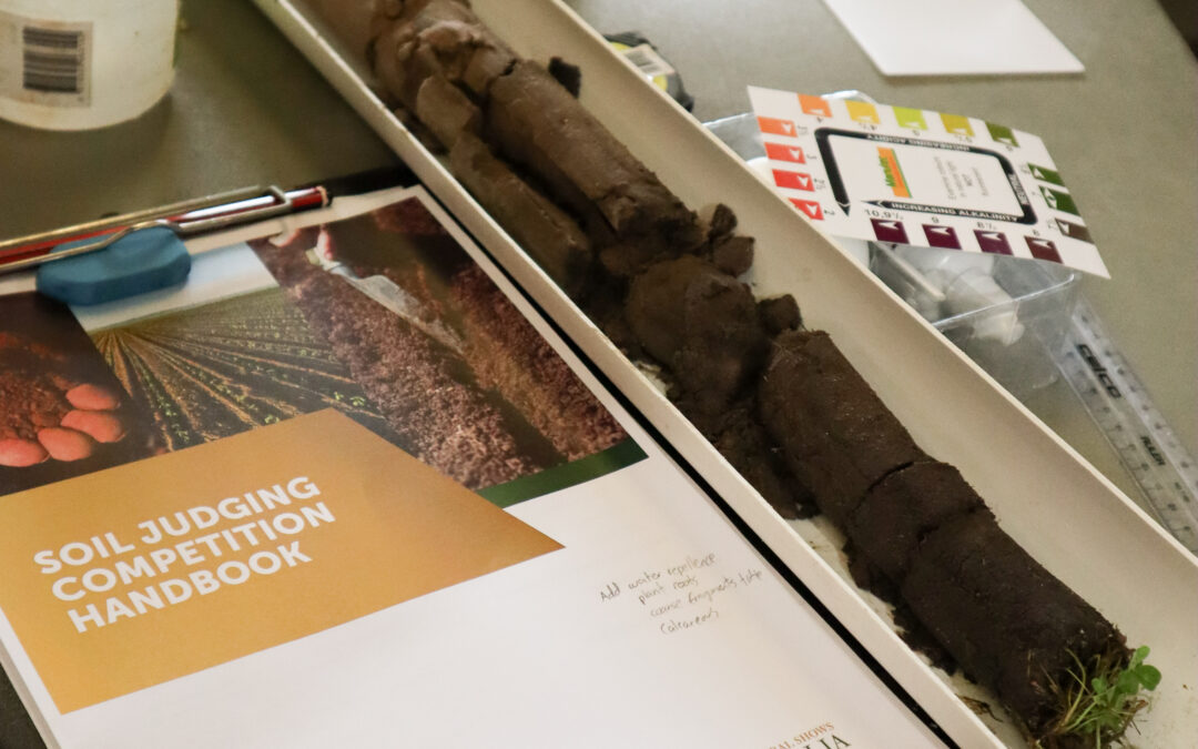 10 assets we’ve created to make running your local Young Soil Judges competition easy as (mud)pie