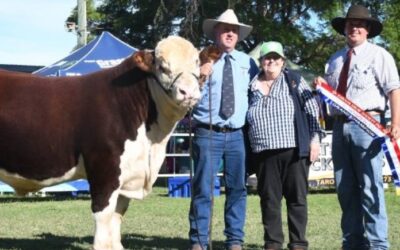 Queensland’s largest cattle show